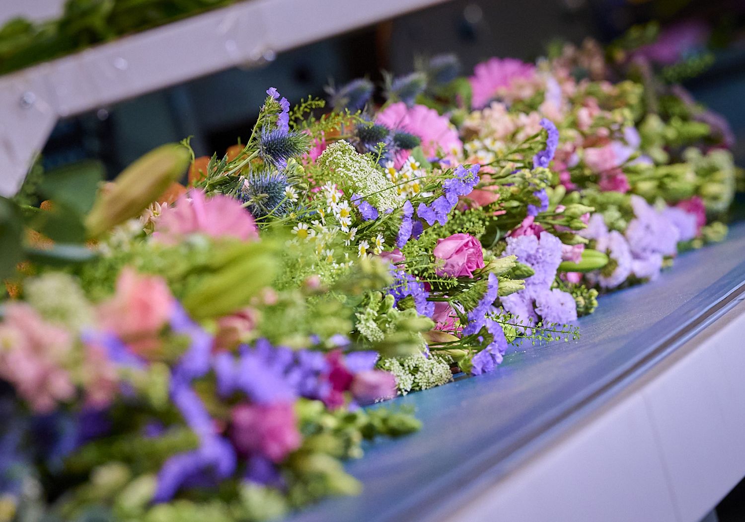 L&M Rijnsburg slideshow impressie