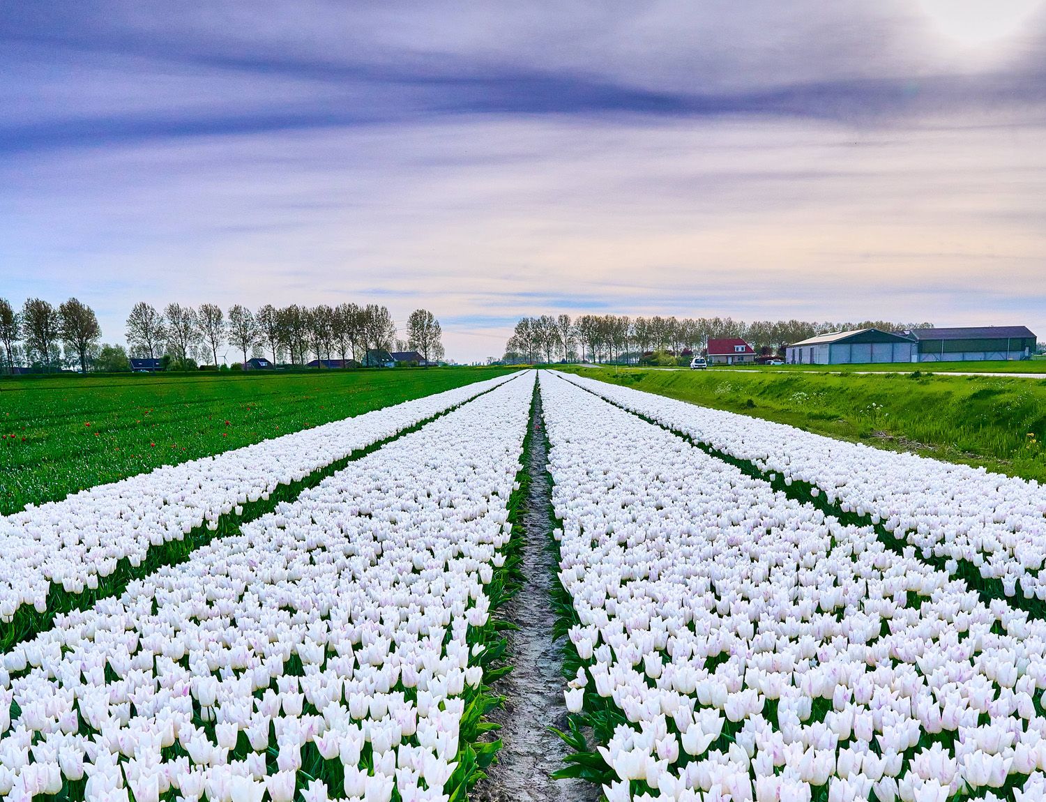 LM Rijnsburg certificeringen